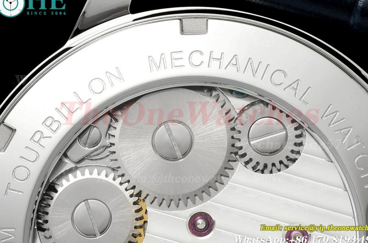 Sky Dial 42mm SS Complications Tourb RMSF LE Starry 0420